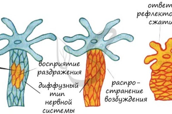 Kraken ссылки актуальные 2025 г